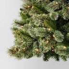 Choinka sosna Virginia z dwukolorowym oświetleniem